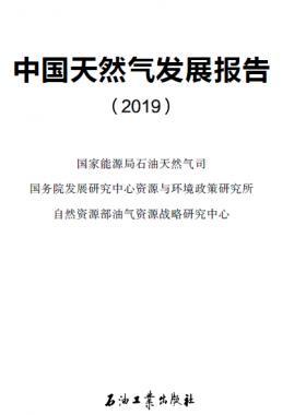 中國天然氣發(fā)展報(bào)告(2019)