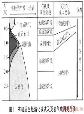 地質(zhì)異常找礦理論在頁巖氣勘探中的應用