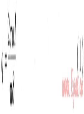 真空管太陽能集熱系統(tǒng)溫度場(chǎng)、速度場(chǎng)模擬