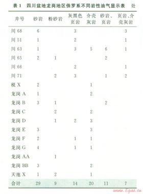 川中地區(qū)侏羅系適合頁(yè)巖油氣藏開采的地質(zhì)依據(jù)