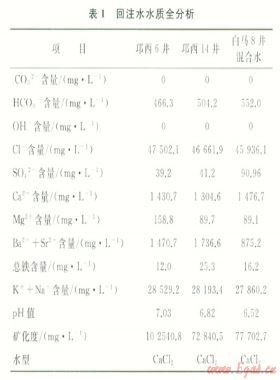 氣田回注系統(tǒng)結(jié)垢機理及對策