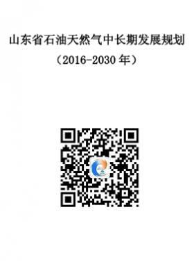 山東省石油天然氣中長(zhǎng)期發(fā)展規(guī)劃(2016-2030年)
