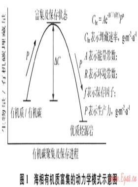 中國(guó)海相烴源巖研究進(jìn)展及面臨的挑戰(zhàn)