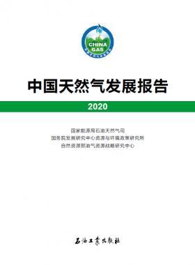 2020中國天然氣發(fā)展報告（含2017、2018、2019、2020）