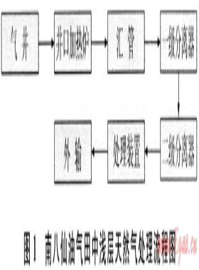 南八仙油氣田中淺層天然氣處理技術